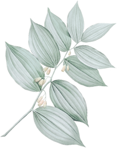 hair-flower-1