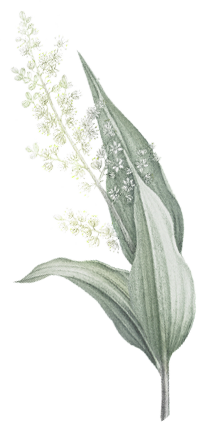 hair-flower-2