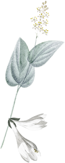 hair-flower-3